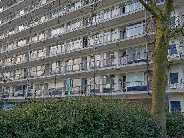 Jan Dammassestraat , Rotterdam