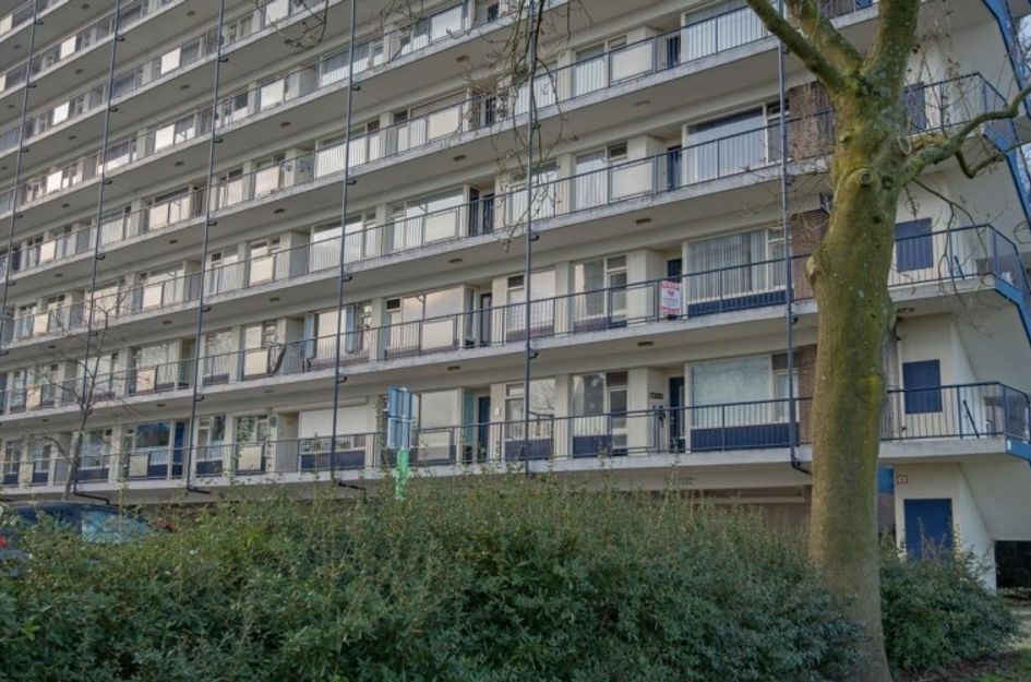 Jan Dammassestraat 