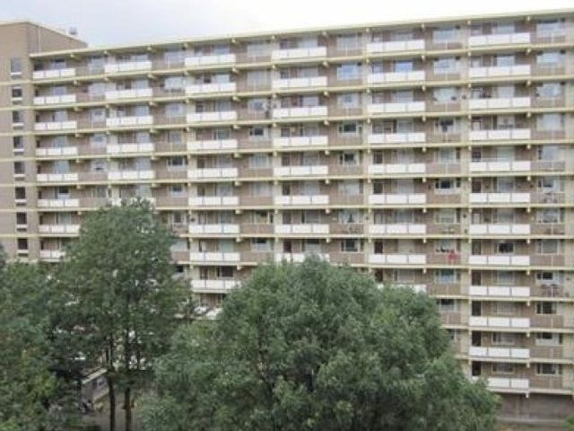 Dadeltuin , Rotterdam