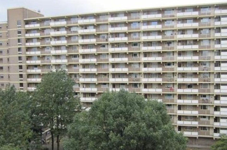 Dadeltuin 