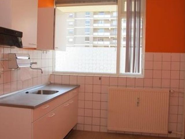 Dadeltuin , Rotterdam