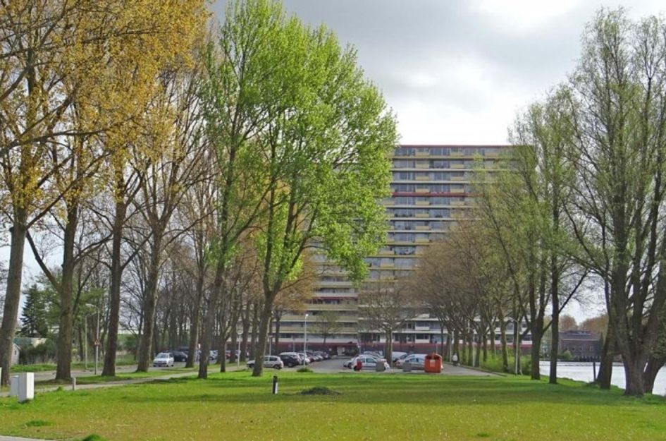 Oost Dorsch 