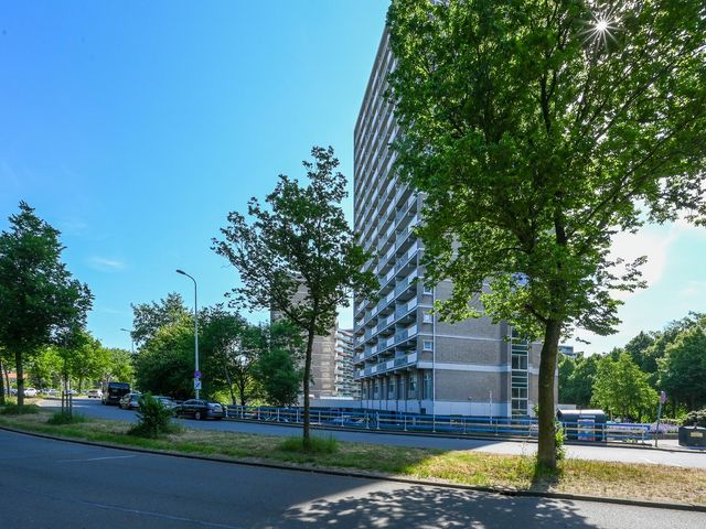 Forellendaal 56, 'S-Gravenhage
