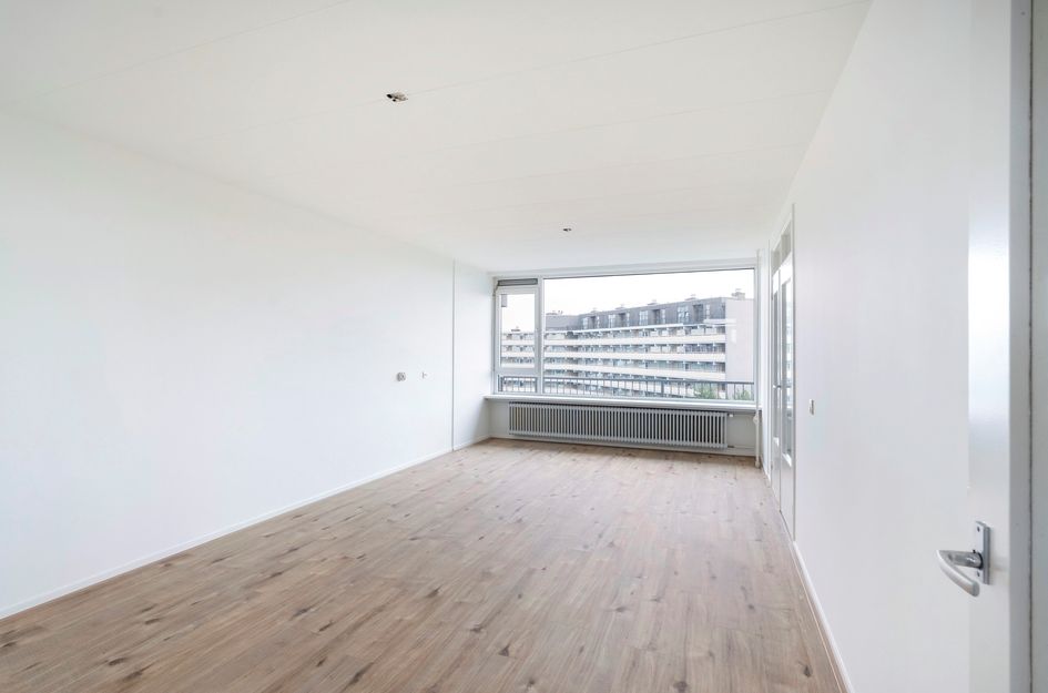 Griegplein 244
