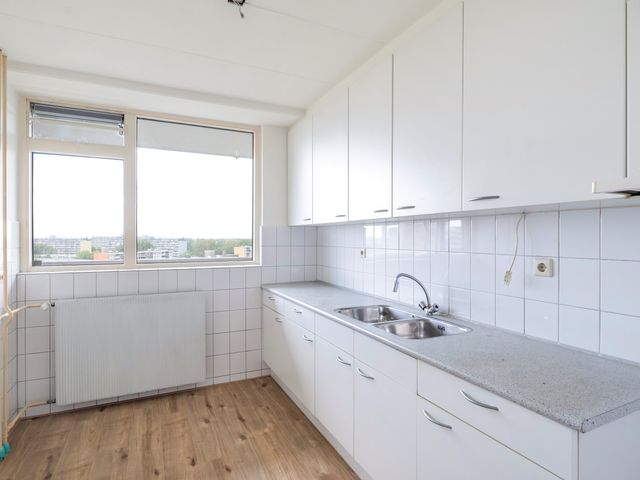Griegplein 244, Schiedam