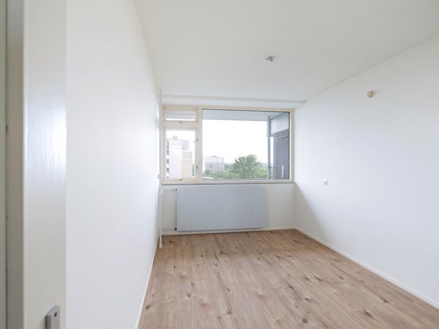 Griegplein 244, Schiedam