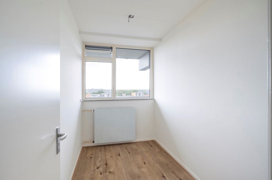Griegplein 244