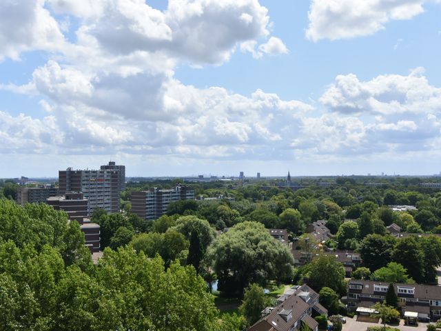 Populierendreef 217, Voorburg