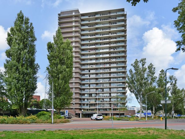 Populierendreef 217, Voorburg