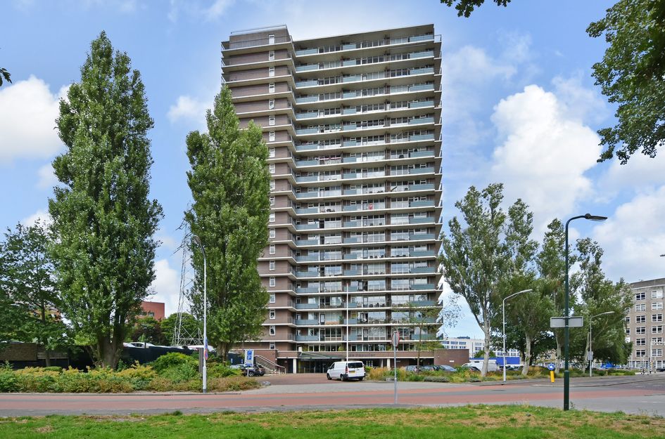 Populierendreef 217