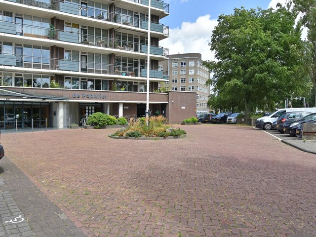 Populierendreef 217, Voorburg