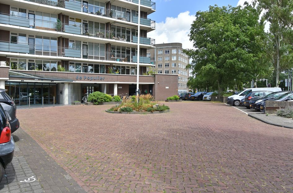 Populierendreef 217