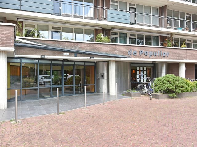 Populierendreef 217, Voorburg