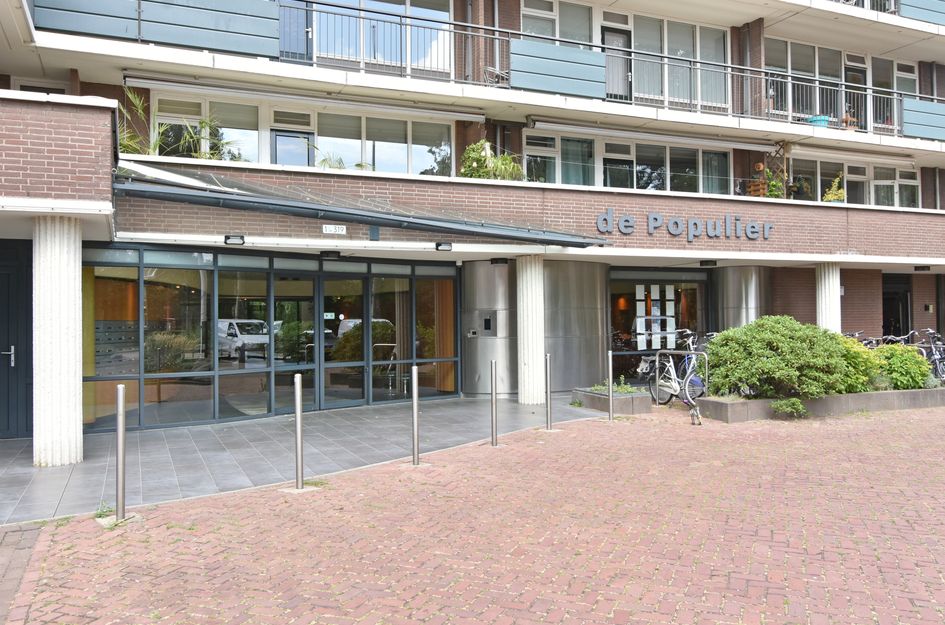 Populierendreef 217