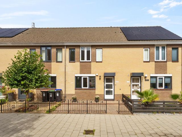 Kruiszwin 2317, Julianadorp