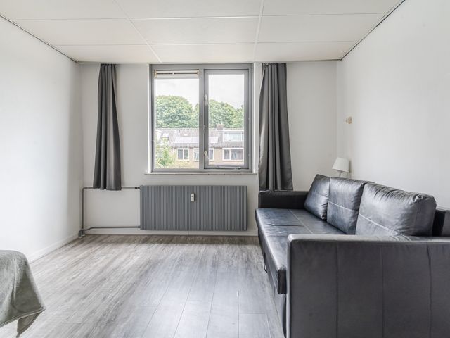 Bellinistraat 197, Tilburg