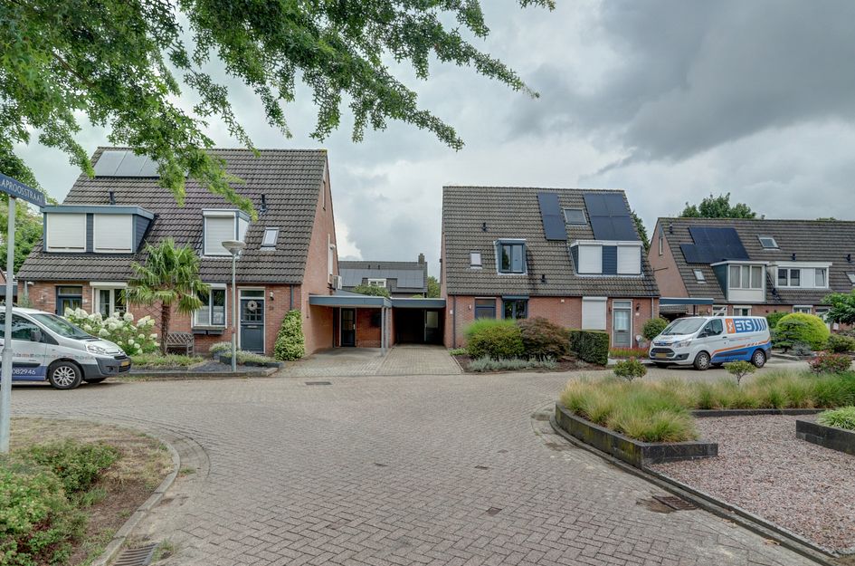 Korenbloemstraat 24