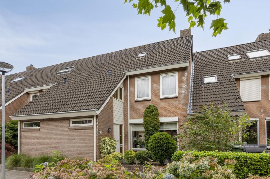 Wit Hollandven 25