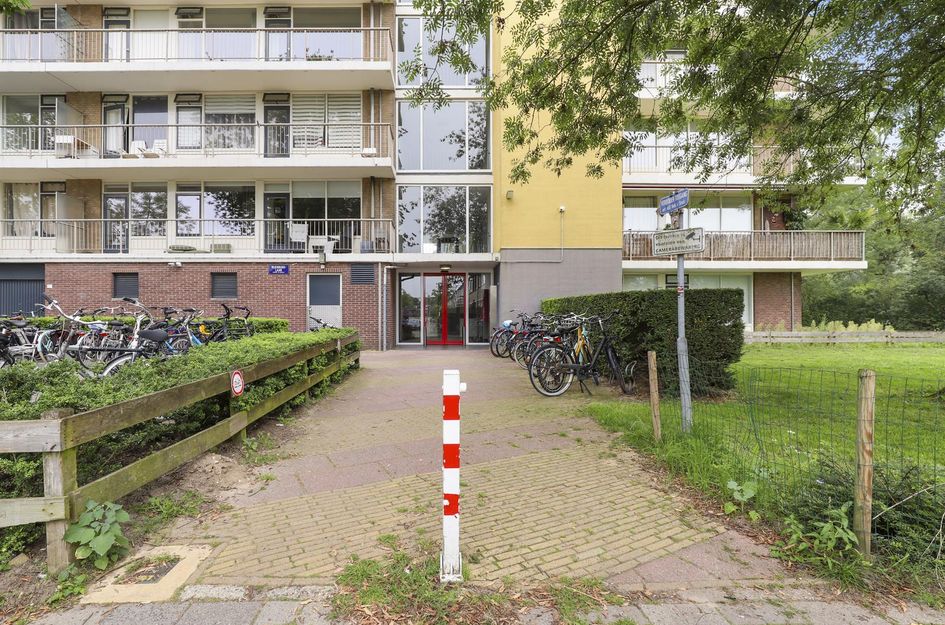 Wijenburglaan 107