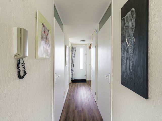 Libelle 5, Amersfoort