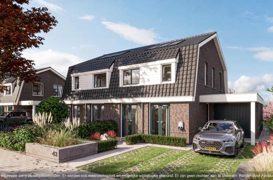 Molenlaan 41