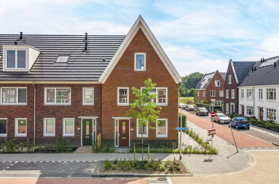Knobbelzwaan 121