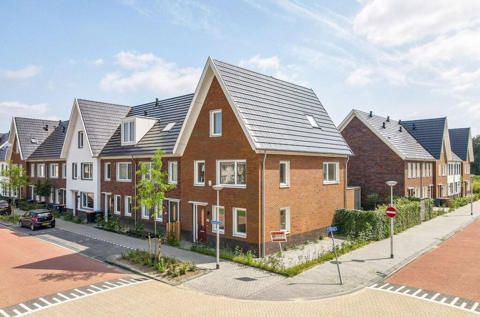 Knobbelzwaan 121