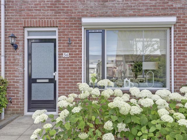 Watervliet 36, Krabbendijke