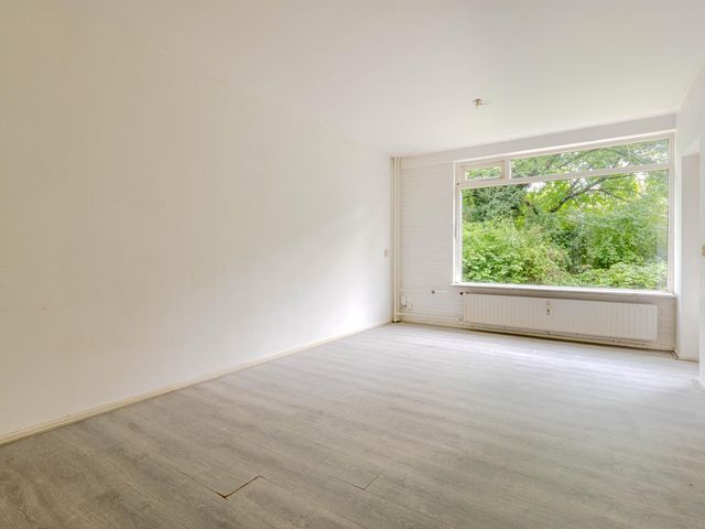 Ruigoord 66, Rotterdam