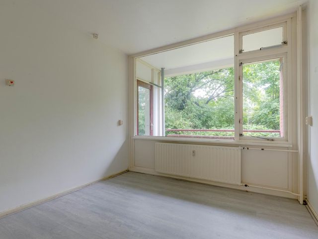 Ruigoord 66, Rotterdam