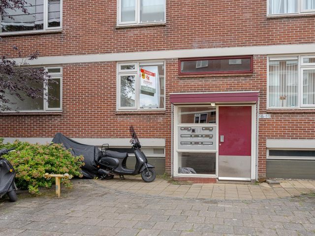 Ruigoord 66, Rotterdam