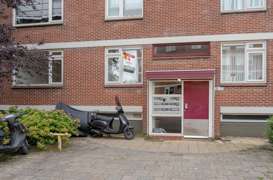 Ruigoord 66