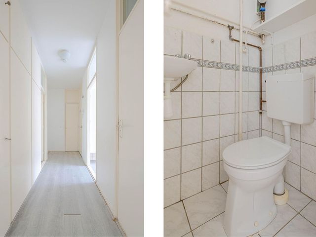 Ruigoord 66, Rotterdam