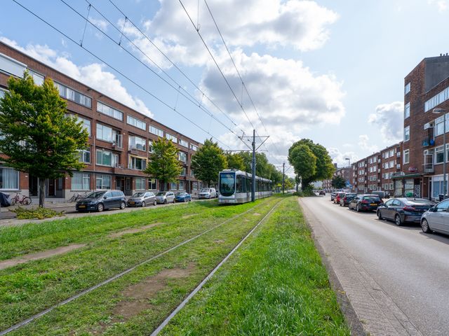Rotterdamsedijk 273A1, Schiedam