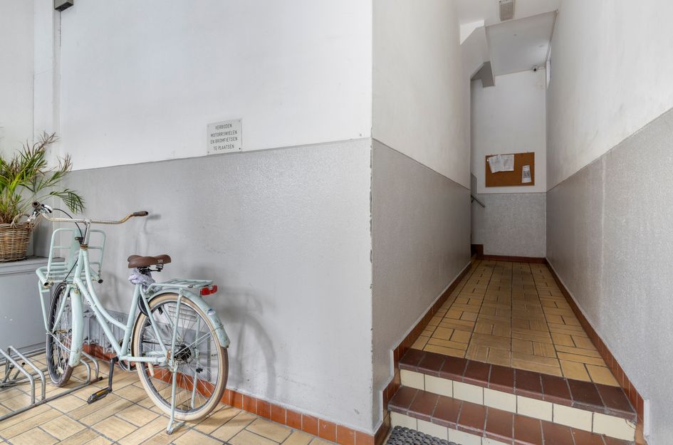 Singel 31