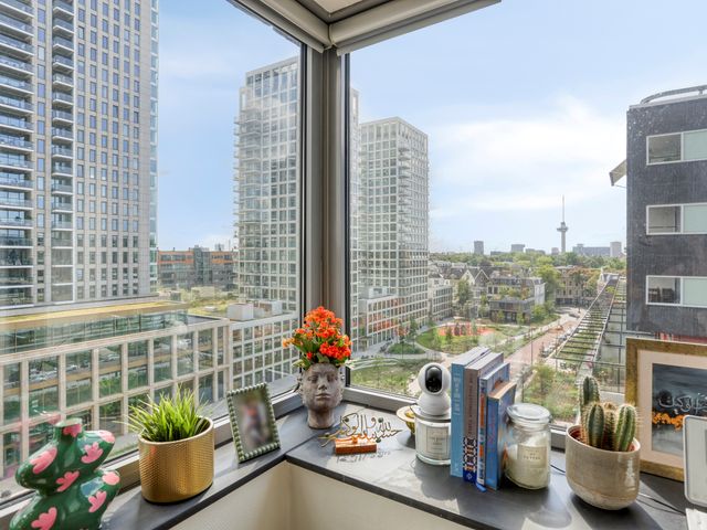 Gedempte Zalmhaven 485, Rotterdam