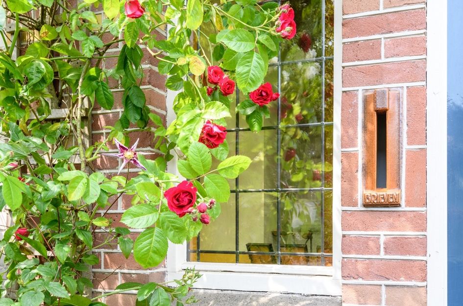 Bergansiusstraat 24