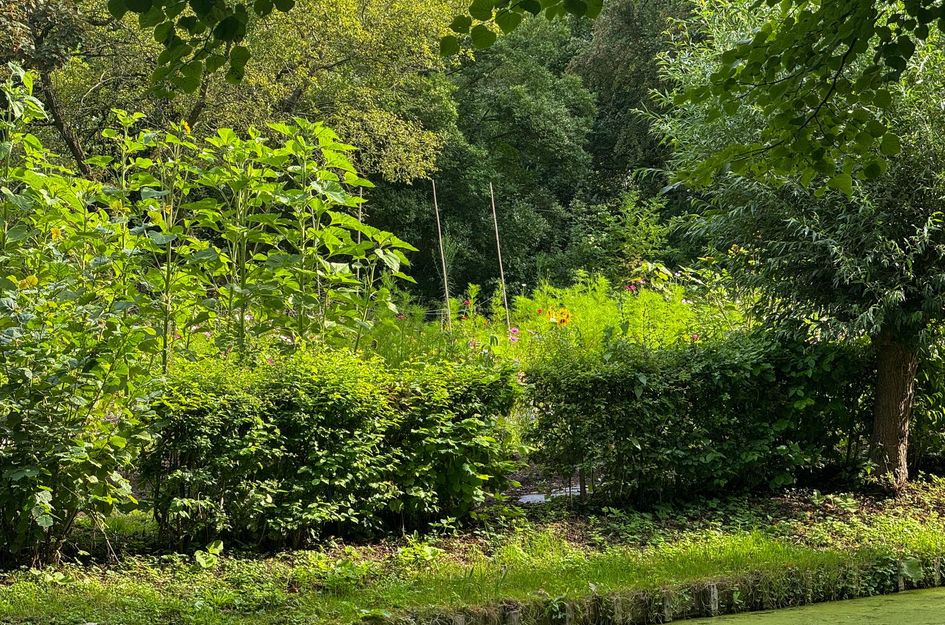 Essenburgsingel 89A