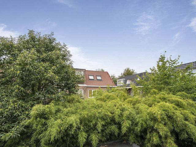 Esschilderstraat 34RD, Haarlem