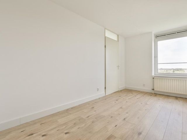 Hermelijnvlinder 99, Diemen