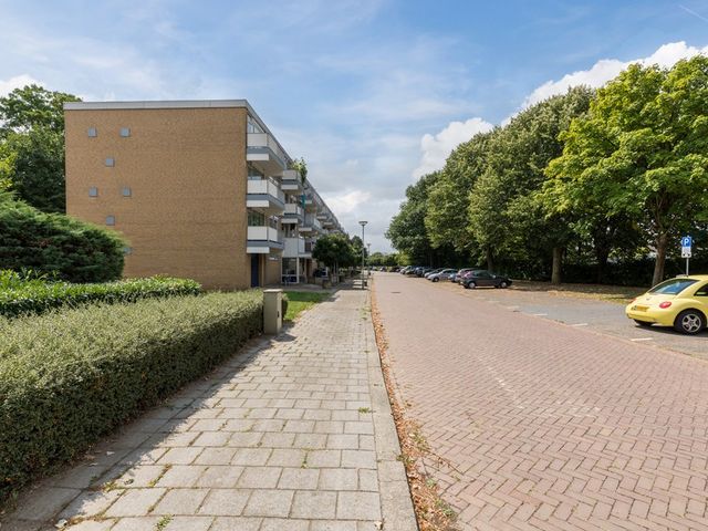 Narcissenstraat 212, Echt