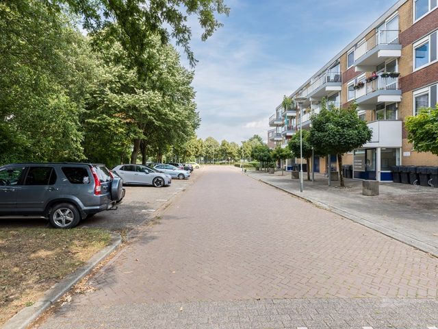 Narcissenstraat 212, Echt
