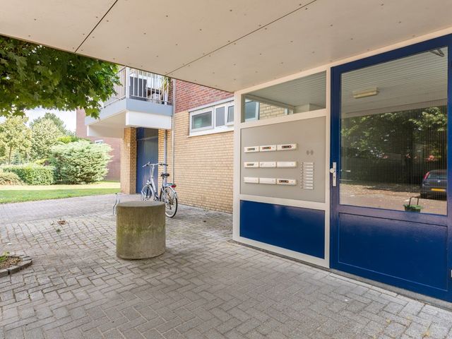 Narcissenstraat 212, Echt