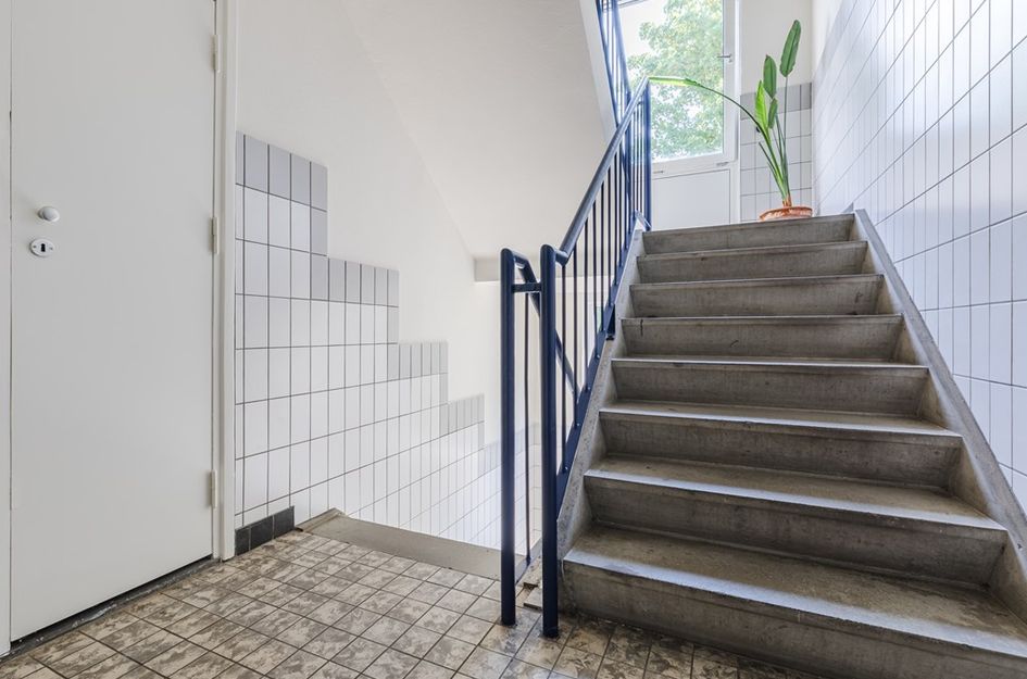 Narcissenstraat 212