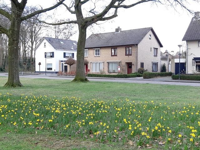 Cederstraat 14, Sint-Michielsgestel