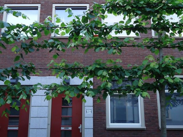 Eligenstraat 72, Utrecht