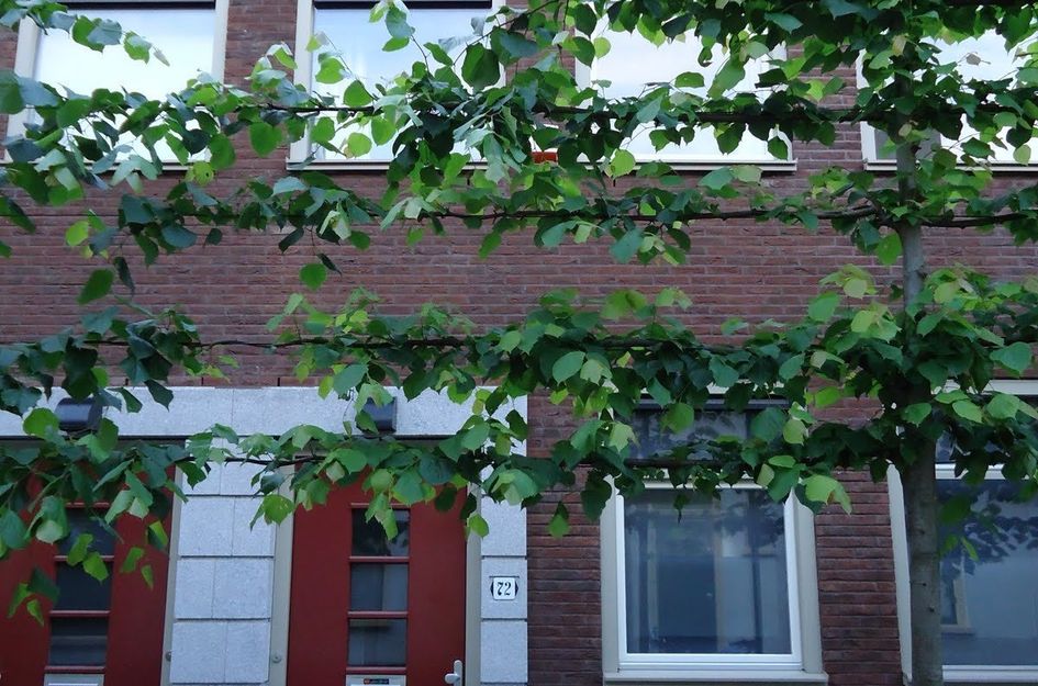 Eligenstraat 72