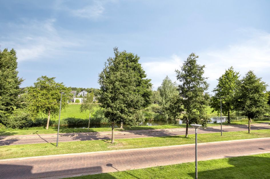 Mattenbiesstraat 30