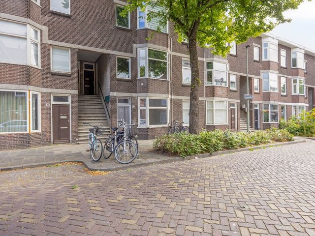 Groen van Prinstererstr 35, Vlaardingen