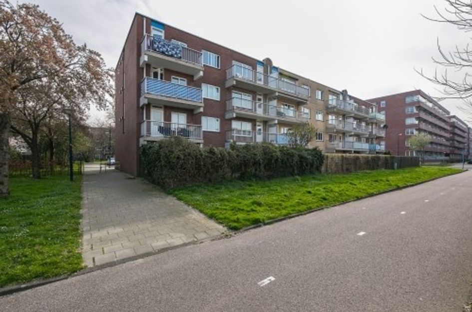 Rosa Manusstraat 